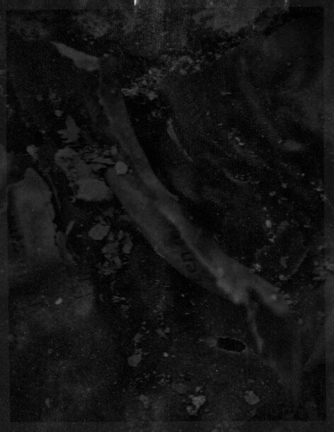 Cease Fire 01